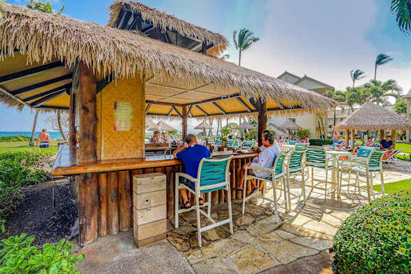 Poolside Paradise Under Swaying Palms
