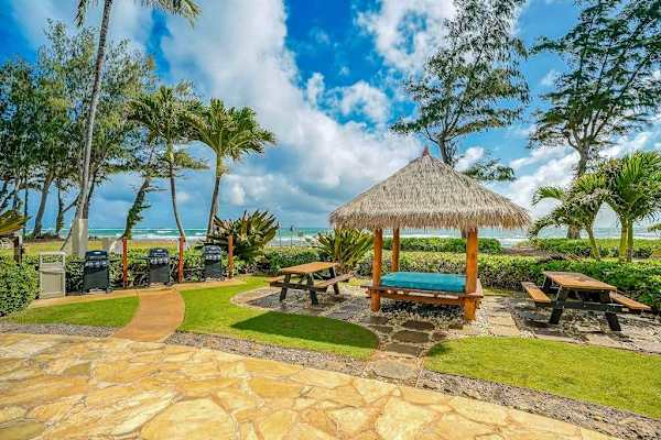 Picnic Pavilion Surrounded By Palms