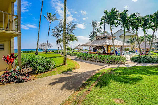 Poolside Tiki Bar And Island Vibes
