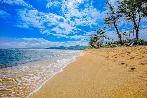 Endless Walks Along The Sandy Shore
