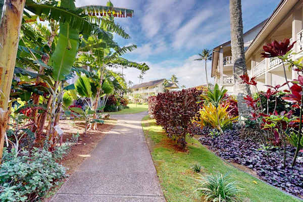 Stroll Through Tropical Paradise
