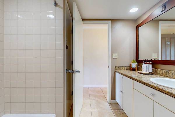 Spa-Inspired Full Bathroom
