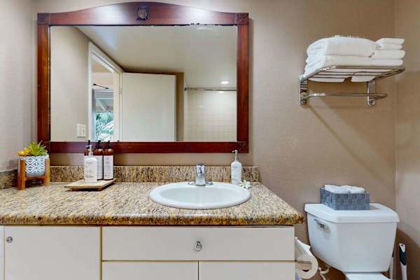 Spa-Inspired Full Bathroom
