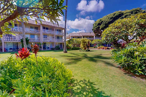 Lush Tropical Landscaping Embracing The Property