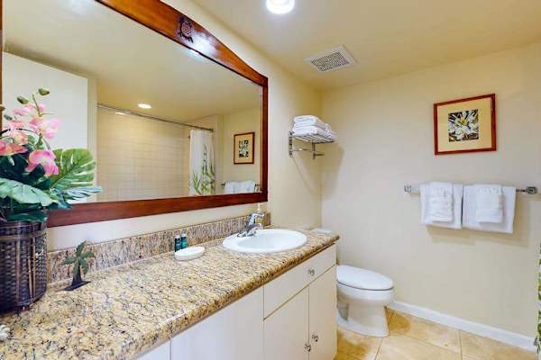 Spa-Inspired Bathroom Retreat