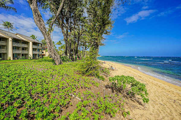 Secluded Beachfront Escape