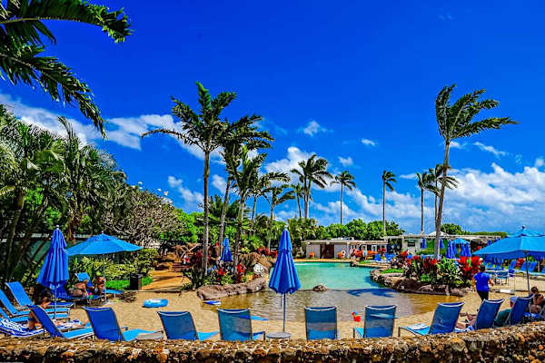 Resort pool surrounded by tropical palm trees