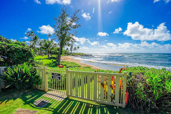 Backyard with lawn for spending time outdoors