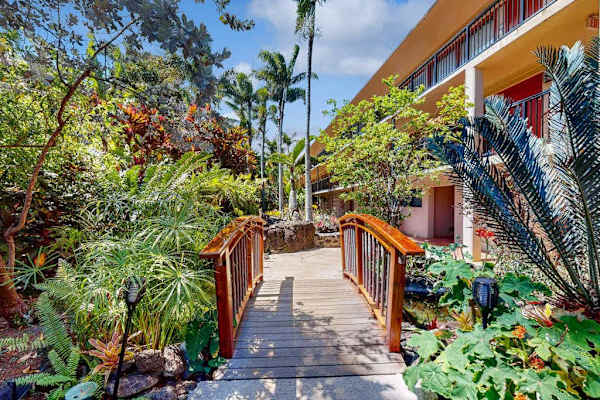 Peaceful courtyard with lush tropical gardens
