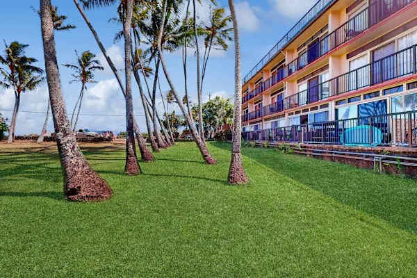 Oceanfront lawn with swaying palm trees