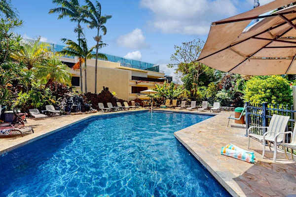 Resort pool surrounded by tropical palms