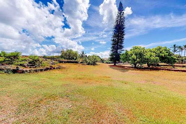 Open grassy area surrounded by tropical scenery
