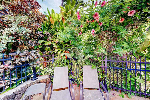 Quiet lounge area surrounded by tropical gardens
