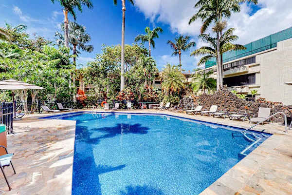Sparkling pool surrounded by palm trees