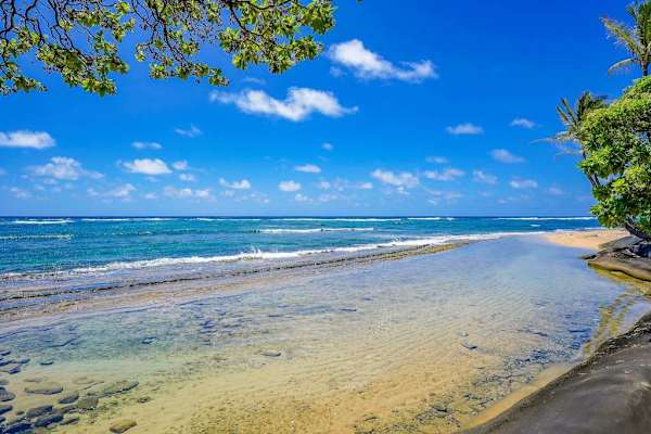 Take in the beauty of the lush tropical Ocean Views