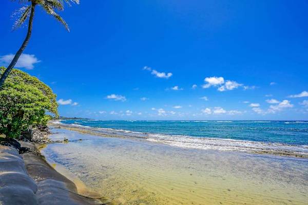 Relax in the bright living room with beautiful ocean views