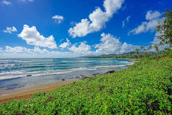 Golden Sandy Beach Just Steps Away