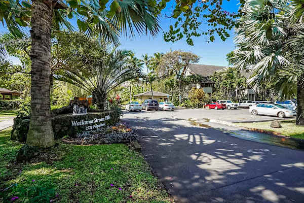 Palm Lined Resort Entrance Drive