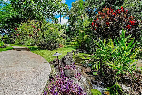 Scenic Tropical Garden Pathway