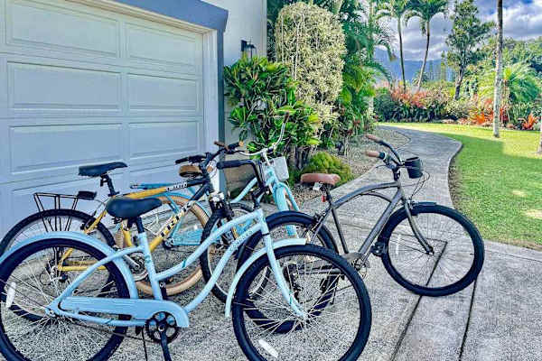 Cruiser bikes stationed by garage & private driveway