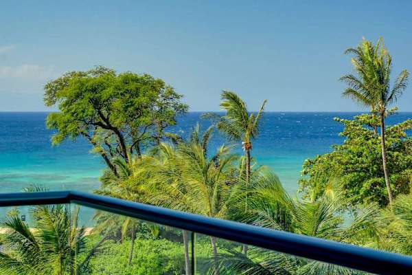 Ocean Views Framed By Island Palms