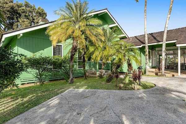 Palm shaded driveway leads toward inviting home and sunlit gardens