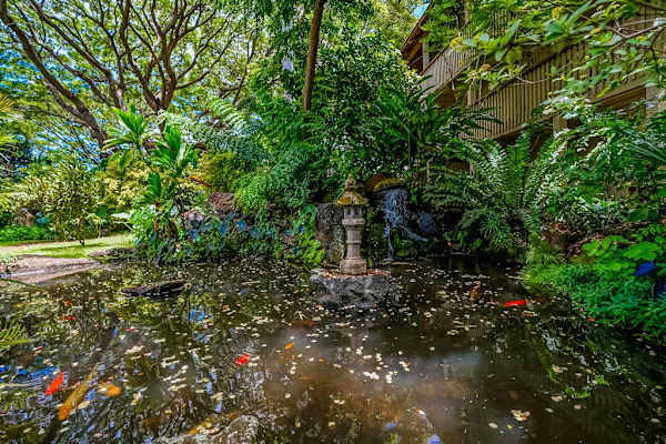 Serene tropical pond nestled in the gardens
