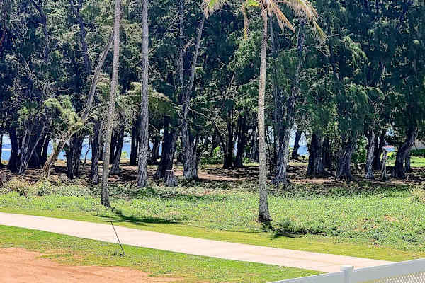 Palm Lined Grounds For Island Strolls