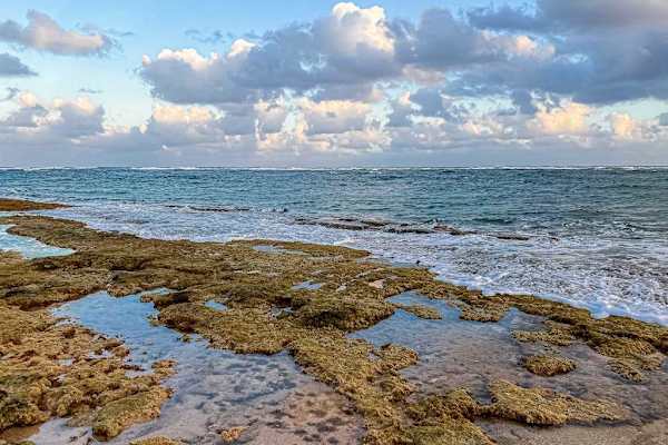 Oceanfront Tide Pools To Explore