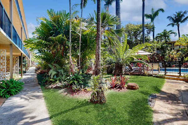 Palm Lined Courtyard Oasis