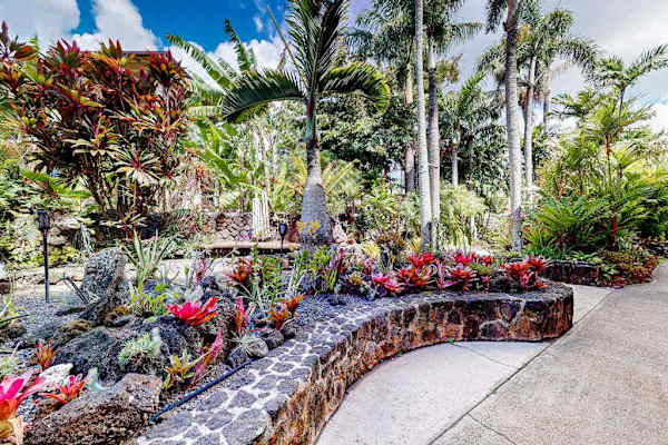 Lush Tropical Garden Pathways
