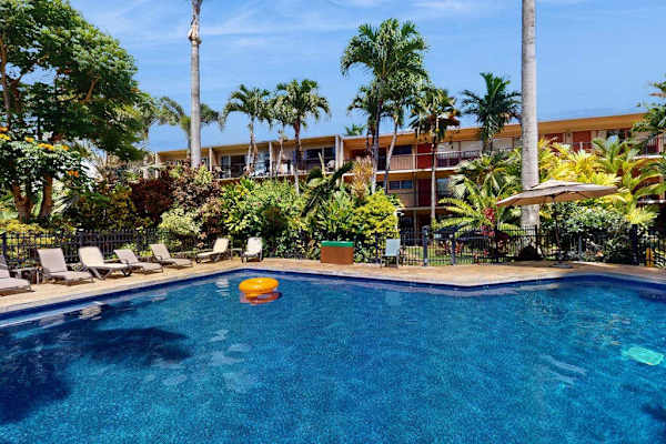 Resort Style Pool Under Palm Trees