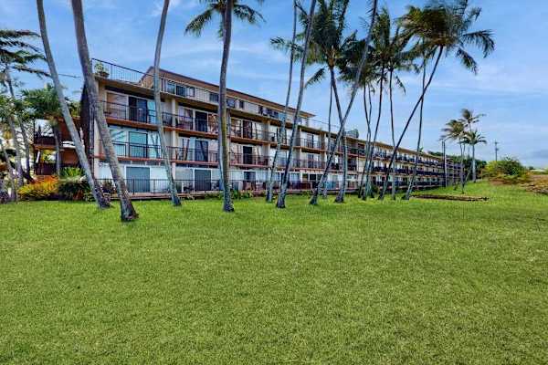 Oceanfront Lawn With Swaying Palms