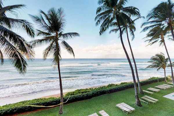 Palm Framed Pacific Paradise