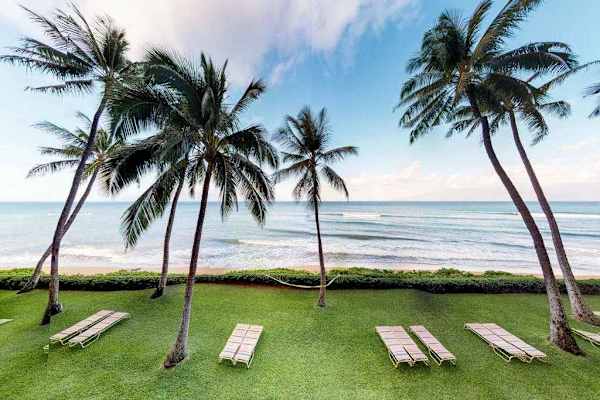 Oceanfront Hammock Worthy Lawn