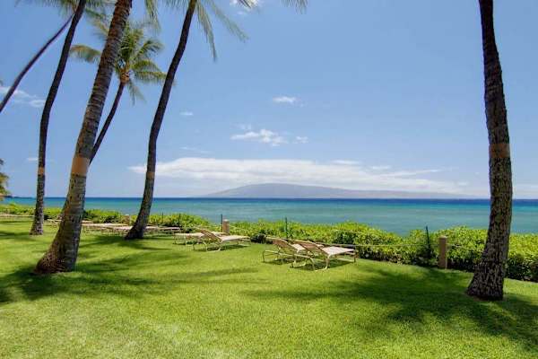Lush Oceanfront Lawn Retreat
