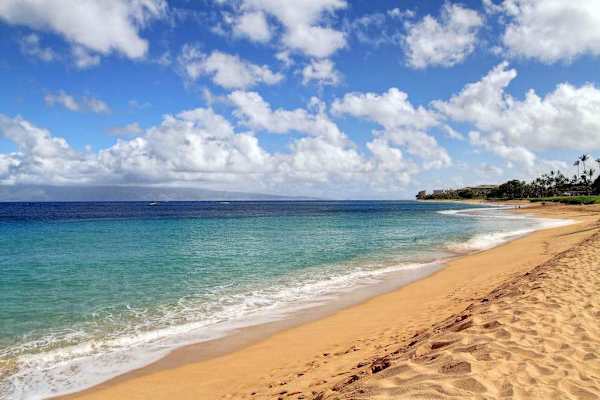 Golden Sand Beach Paradise