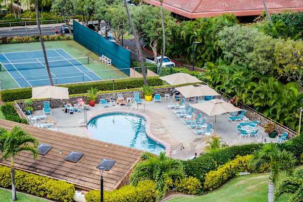 Tropical Pool Oasis From Above