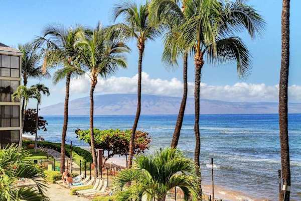 Palm Framed Paradise By The Shore