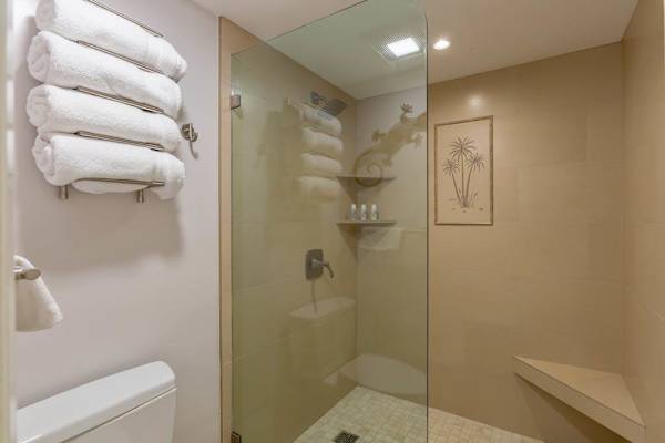 Walk-In Shower With Resort Comfort