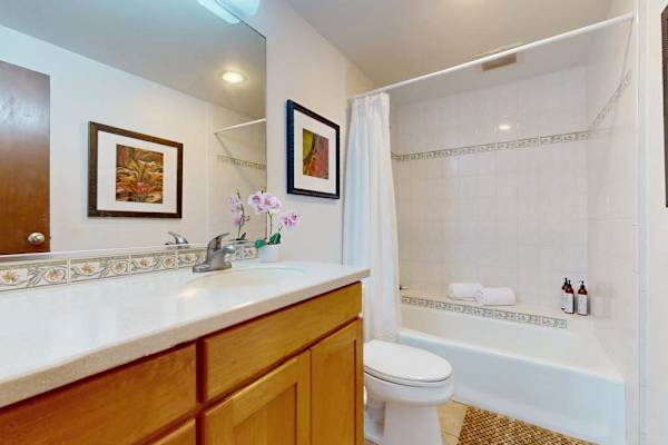Bright full bathroom with a shower and bathtub
