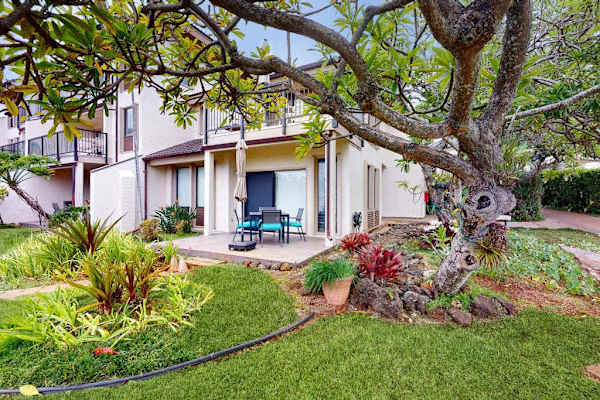 Relax in a serene tropical setting just outside your door
