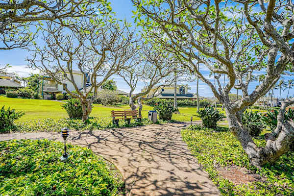 Peaceful garden walkway beneath tropical trees