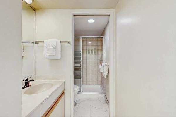 Guest bathroom with walk-in shower