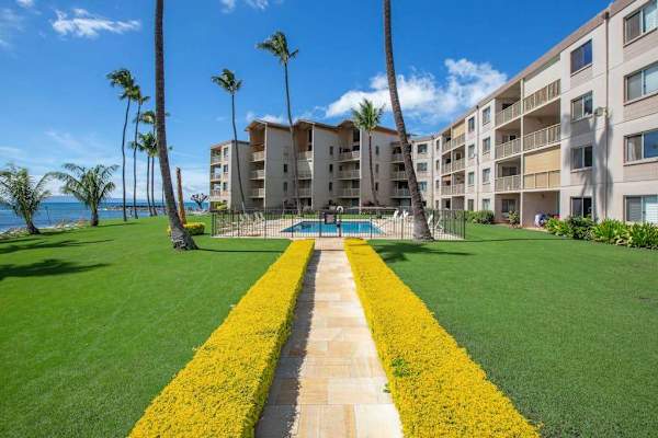 Palm Lined Resort Walkways