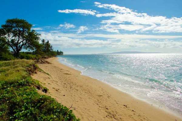 Take in peaceful ocean views along the sandy beach