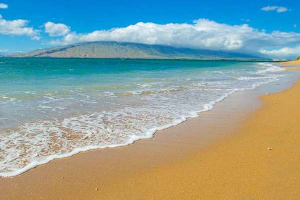 Spend the day along the beautiful sandy shoreline