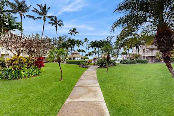 Tropical Front Yard with Palm Trees and Garden Path