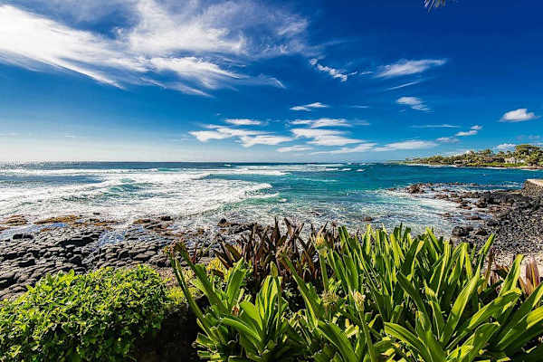 Panoramic Coastline And Ocean Views