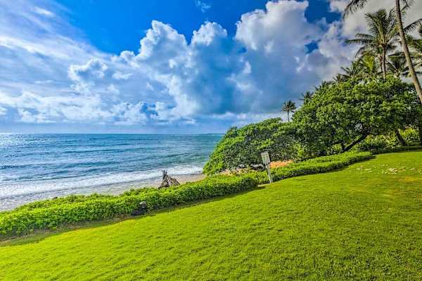 Clifftop Coastal Escape